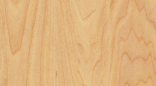 картинка Линолеум Taraflex Evolution Wood от Интернет-магазина Эллипс