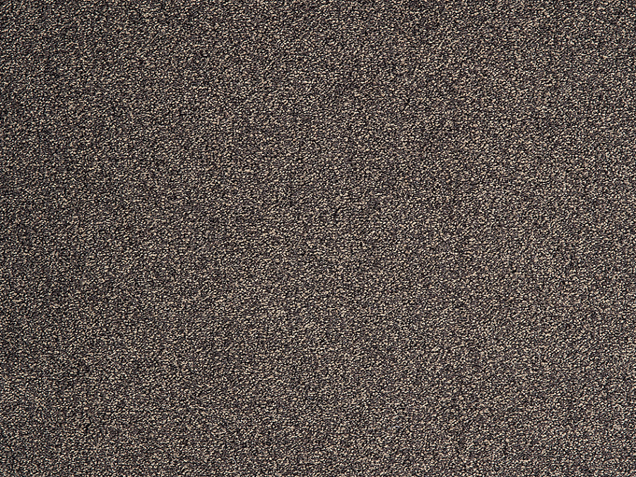 картинка ITC Evolve от Интернет-магазина Эллипс