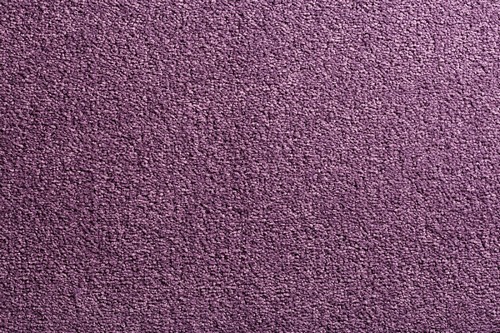 картинка CONDOR Carpets Bologna от Интернет-магазина Эллипс
