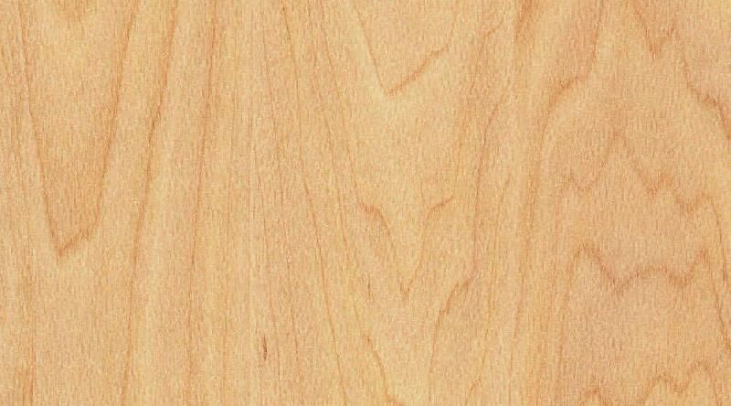 картинка TARAFLEX PERFORMANCE WOOD от Интернет-магазина Эллипс