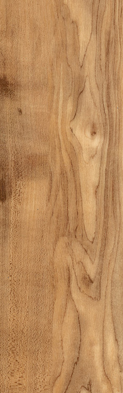 картинка Vertigo Trend / Wood от Интернет-магазина Эллипс