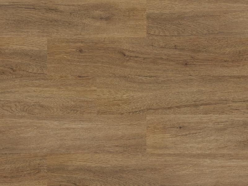 картинка Arbiton Liberal от Интернет-магазина Эллипс