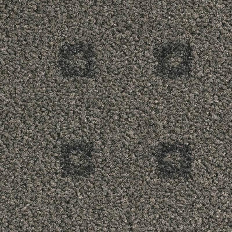 картинка Balsan Folio от Интернет-магазина Эллипс