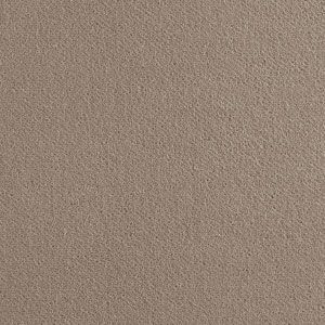 картинка Brintons True Velvet от Интернет-магазина Эллипс
