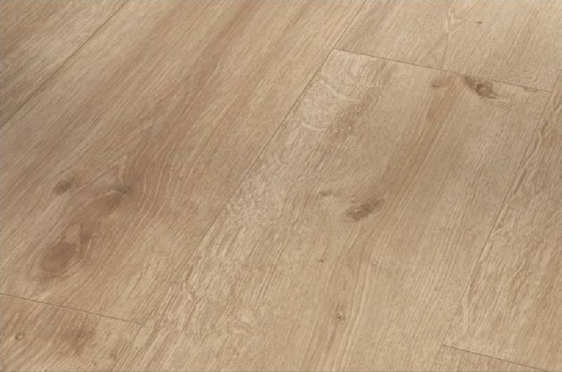 картинка Parador Basic Plus 600 XL от Интернет-магазина Эллипс