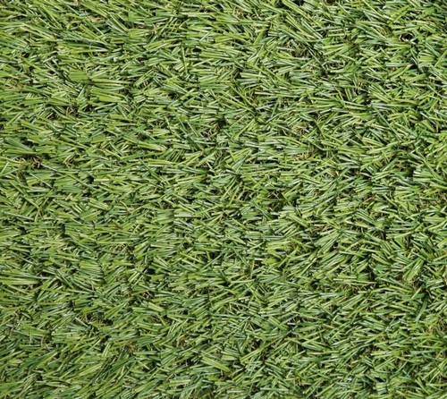 картинка Искусственная трава Evergreen от Интернет-магазина Эллипс