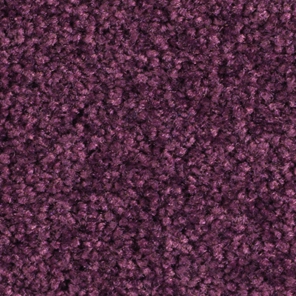 картинка Balsan Bolero roll от Интернет-магазина Эллипс