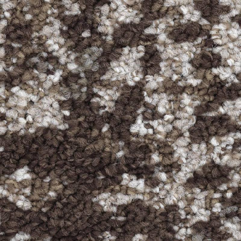 картинка Balsan Darius от Интернет-магазина Эллипс