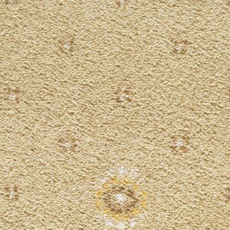 картинка CONDOR Carpets Australia от Интернет-магазина Эллипс